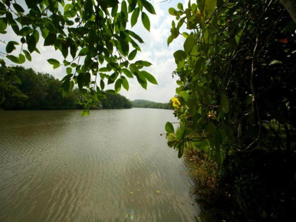 Mangrove Escapes Resort Bentota Dış mekan fotoğraf