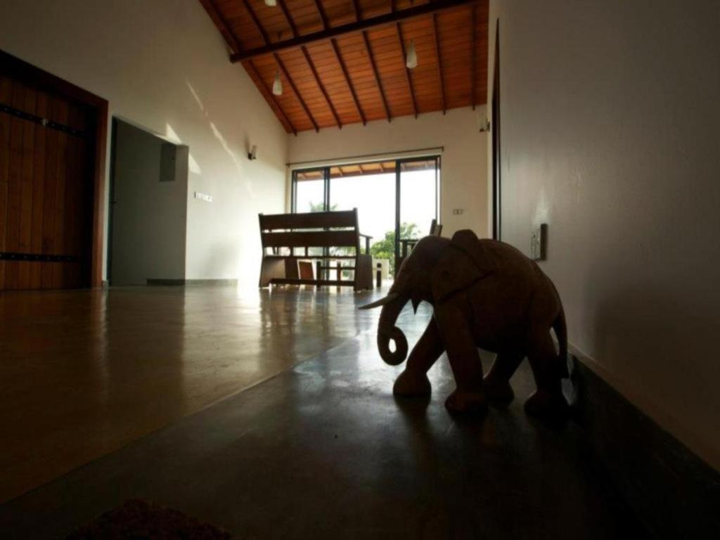 Mangrove Escapes Resort Bentota Dış mekan fotoğraf