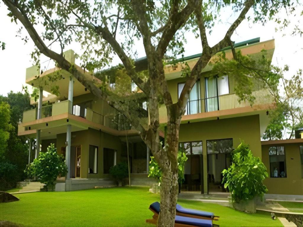 Mangrove Escapes Resort Bentota Dış mekan fotoğraf