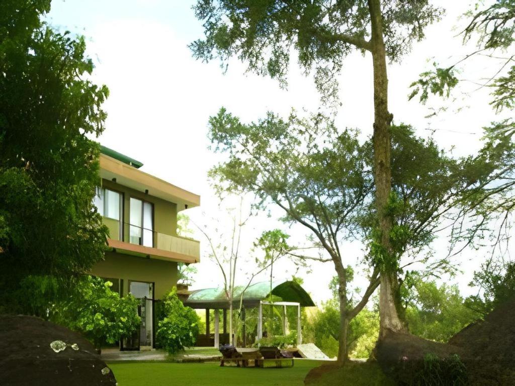 Mangrove Escapes Resort Bentota Dış mekan fotoğraf