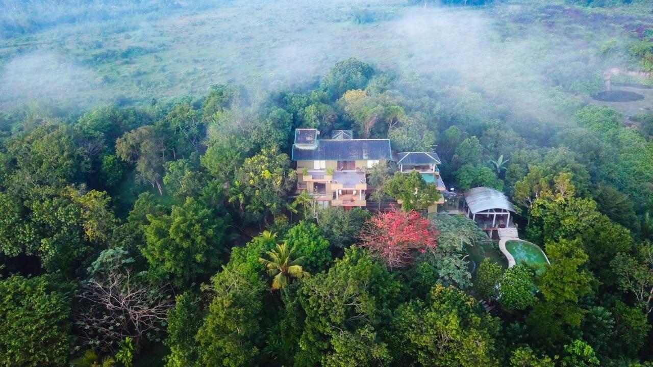 Mangrove Escapes Resort Bentota Dış mekan fotoğraf