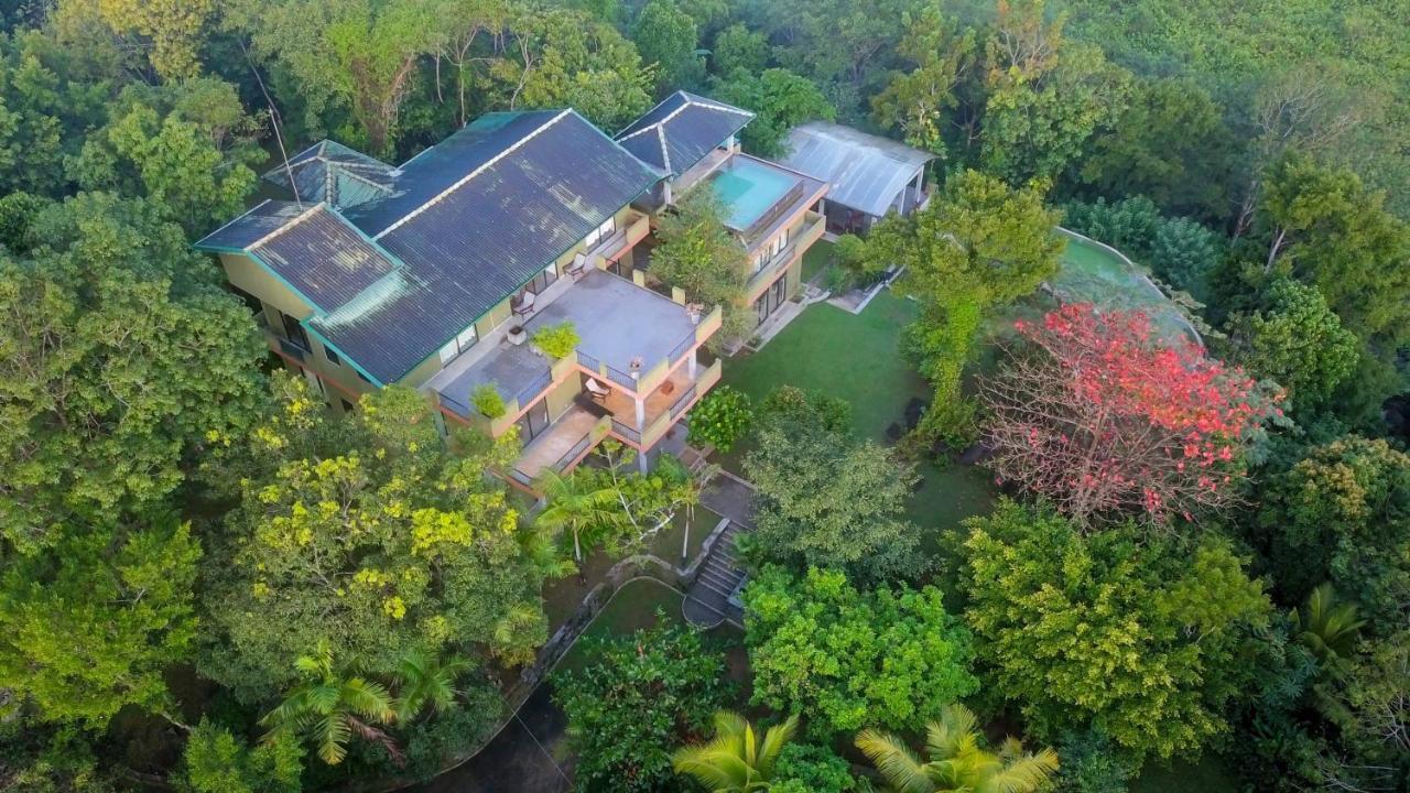 Mangrove Escapes Resort Bentota Dış mekan fotoğraf